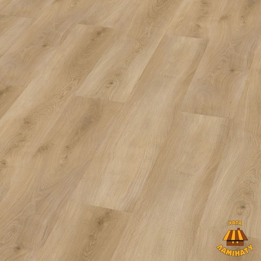 SPC Beechwood Oak | Вінілова підлога Check