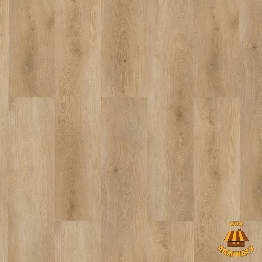 SPC Beechwood Oak | Вінілова підлога Check