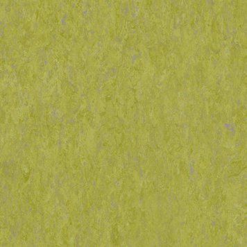 Натуральний лінолеум Tarkett VENETO xf&sup2;&trade; ABSINTHE 695 | Лінолеум Tarkett
