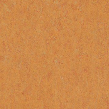 Натуральний лінолеум Tarkett VENETO xf&sup2;&trade; AMBER 636 | Лінолеум Tarkett