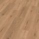SPC Djibouti Oak